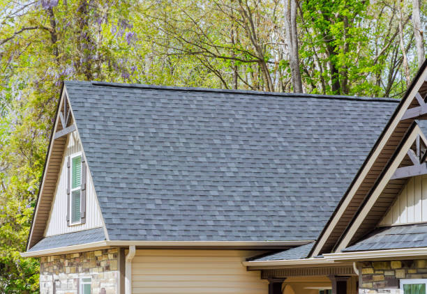 Best Skylight Installation and Repair  in Milford Mill, MD